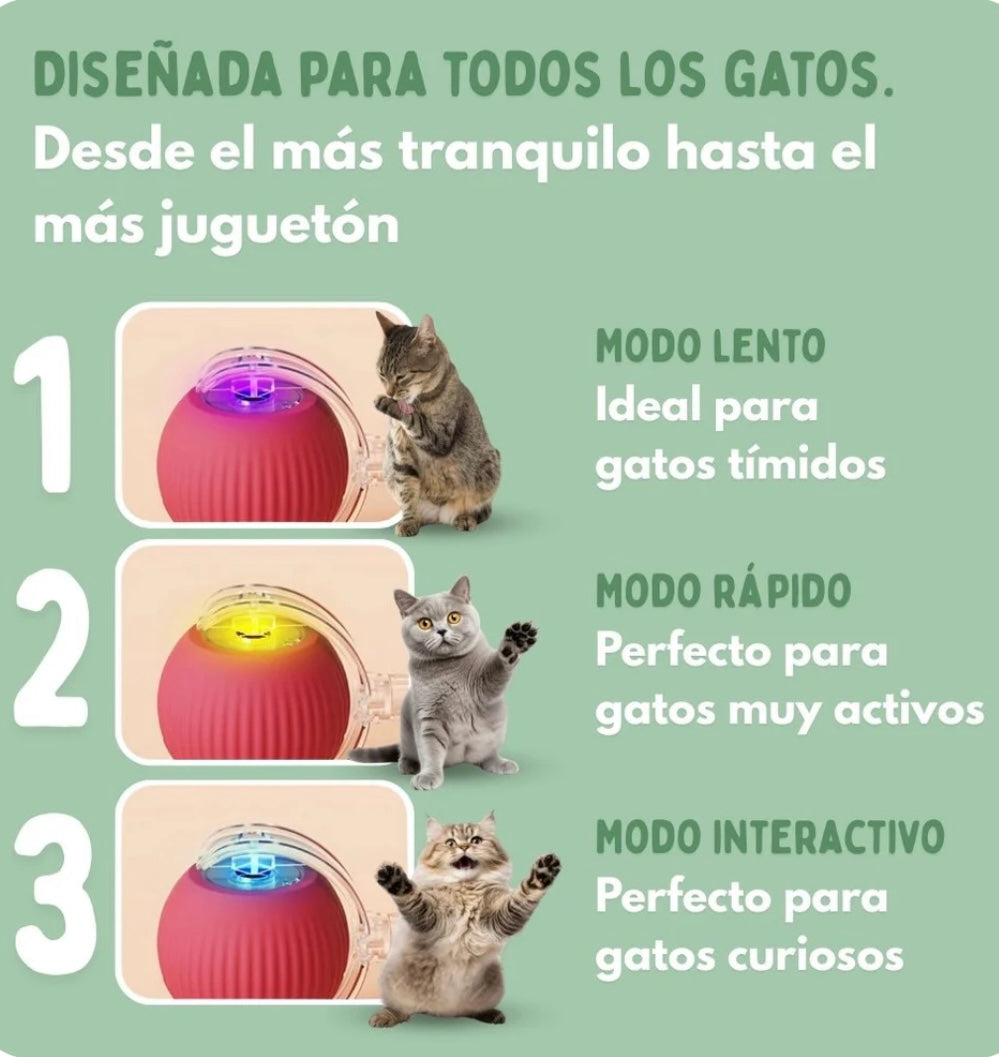 Juguete para Gatos