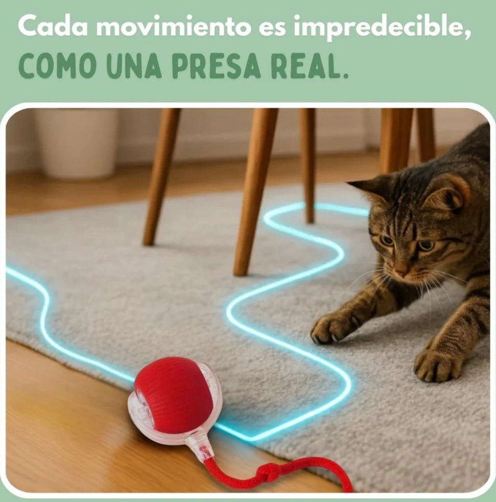 Juguete para Gatos