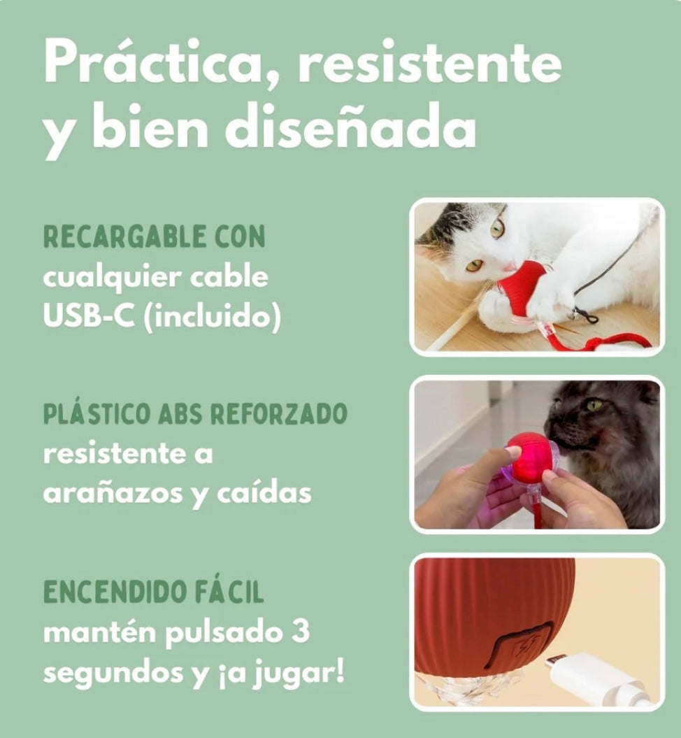 Juguete para Gatos