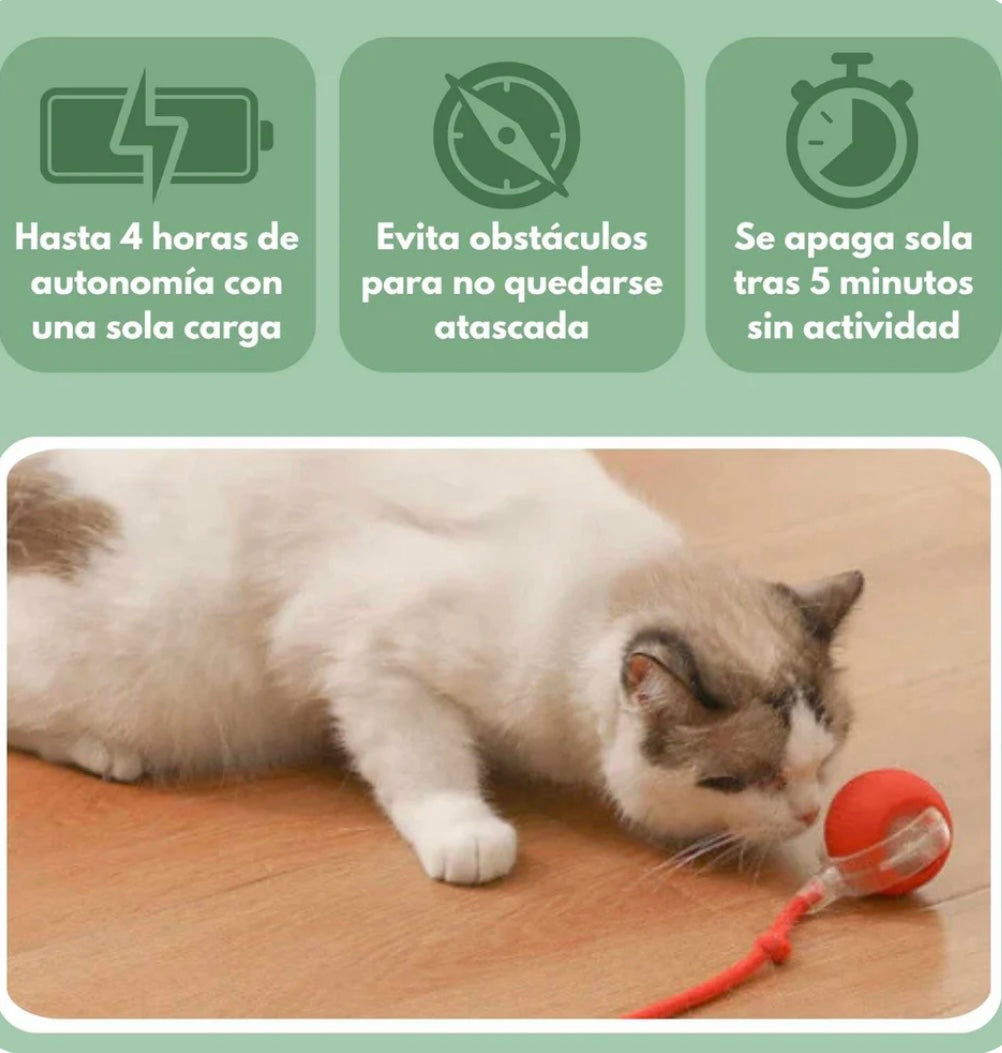Juguete para Gatos